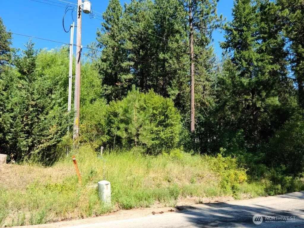 22103 Camp 12 Road Leavenworth WA 98826