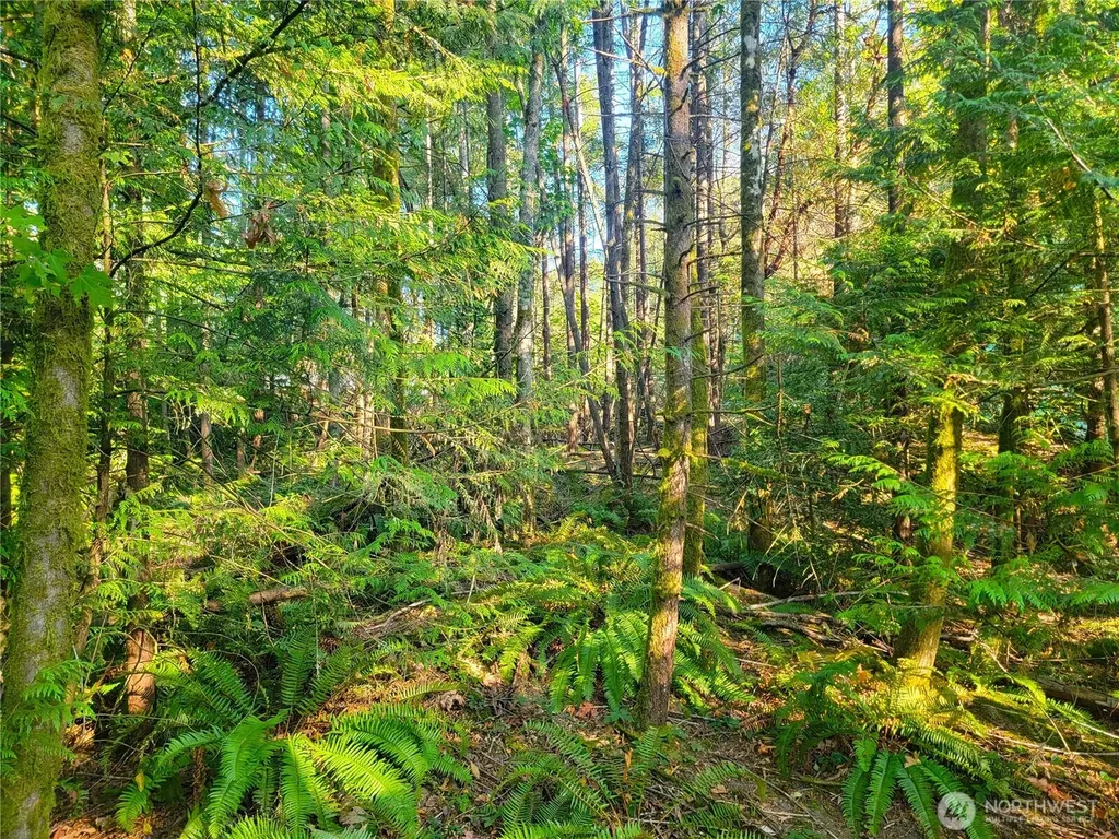 1858 NE Mcwilliams Road Bremerton WA 98311