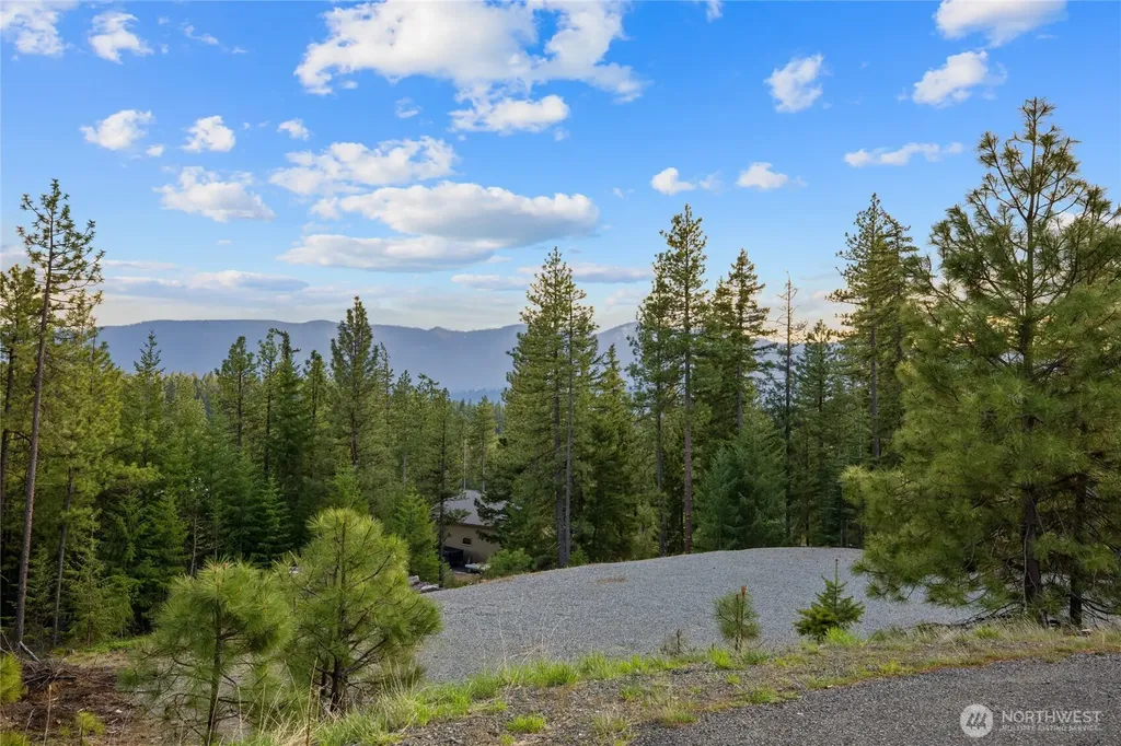 26 Coralbell (Lot 26) Lane Roslyn WA 98941