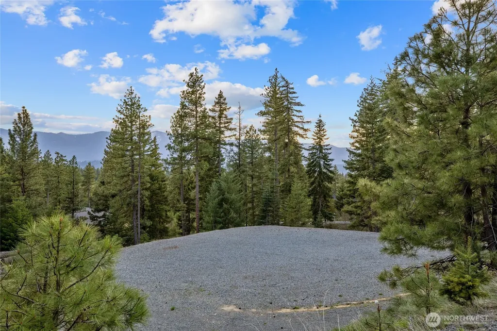 26 Coralbell (Lot 26) Lane Roslyn WA 98941