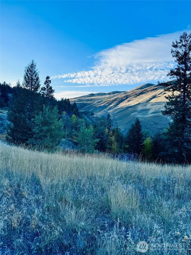 11 Gafvery Creek Road Oroville WA 98844