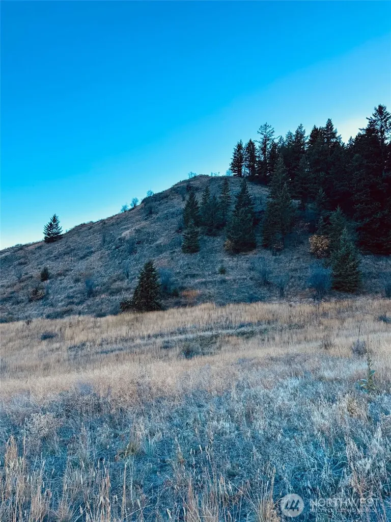 11 Gafvery Creek Road Oroville WA 98844
