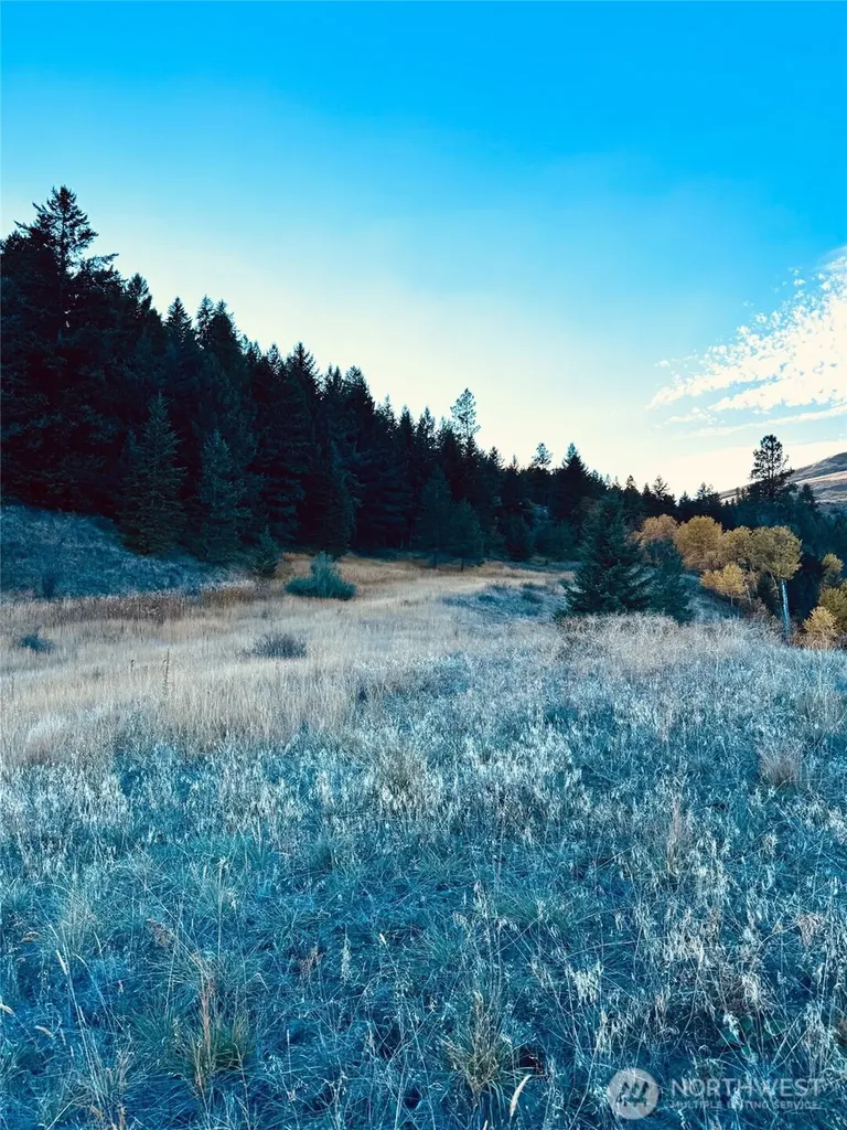 11 Gafvery Creek Road Oroville WA 98844