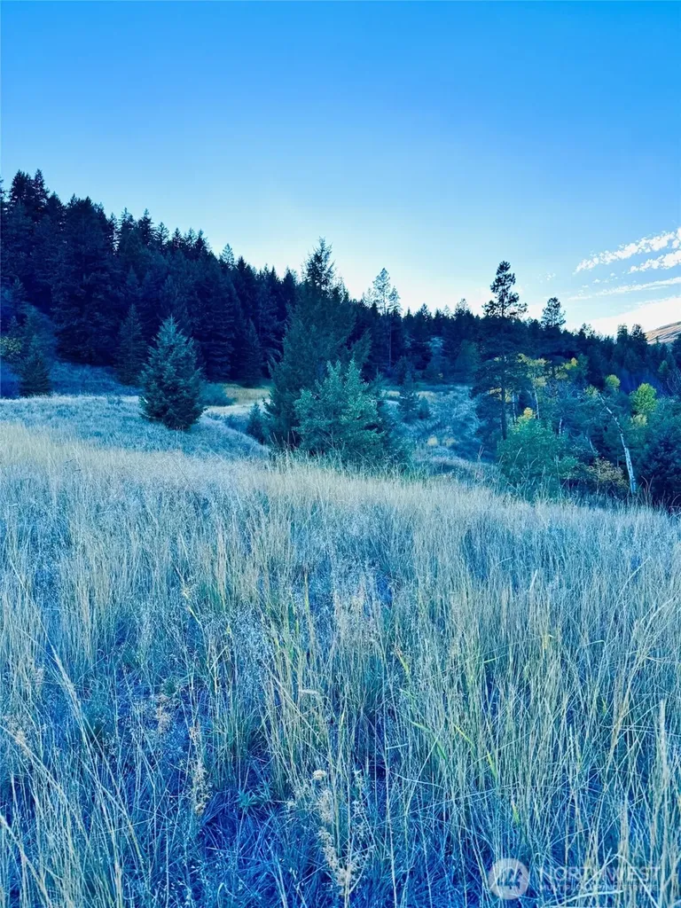 11 Gafvery Creek Road Oroville WA 98844