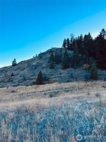 11 Gafvery Creek Road Oroville WA 98844