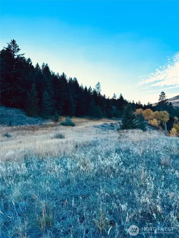 11 Gafvery Creek Road Oroville WA 98844