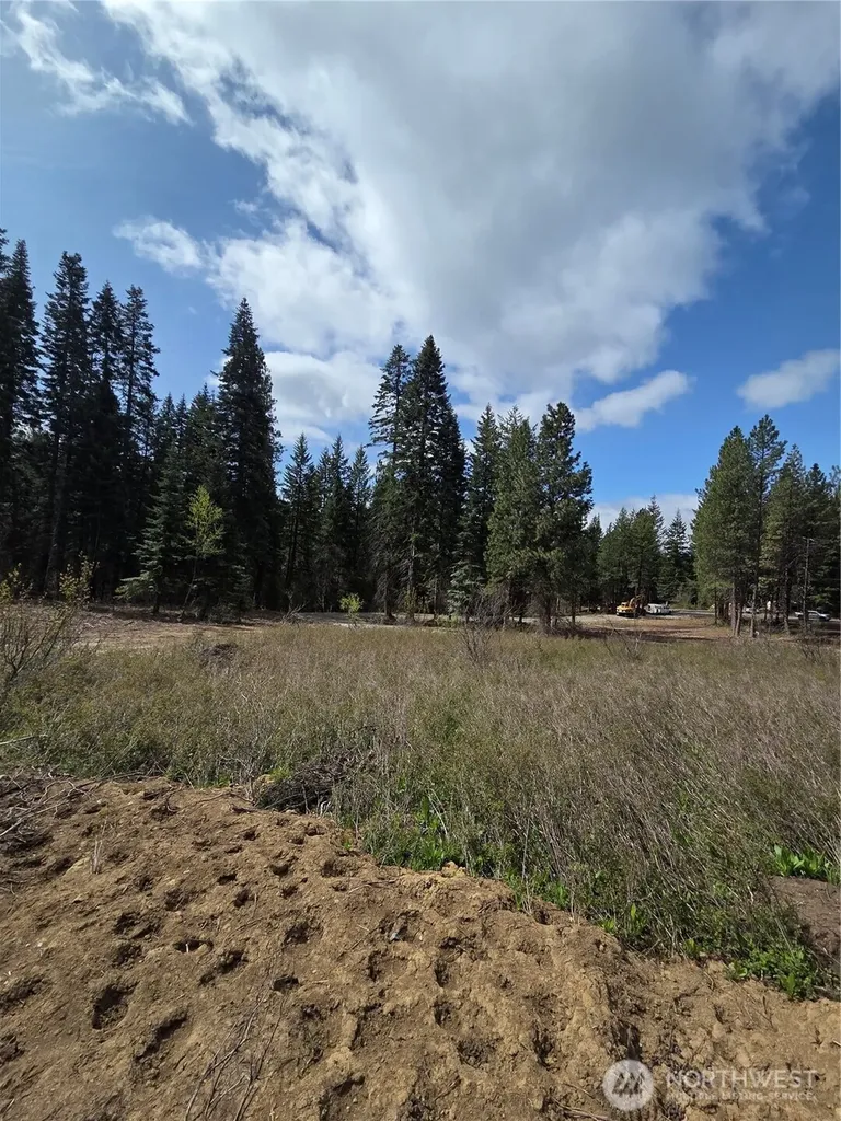 5 Double O Road Ronald WA 98940