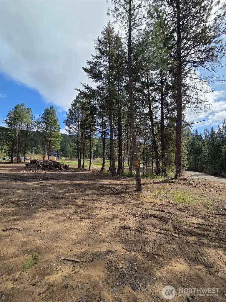 3 Double O Road Ronald WA 98940