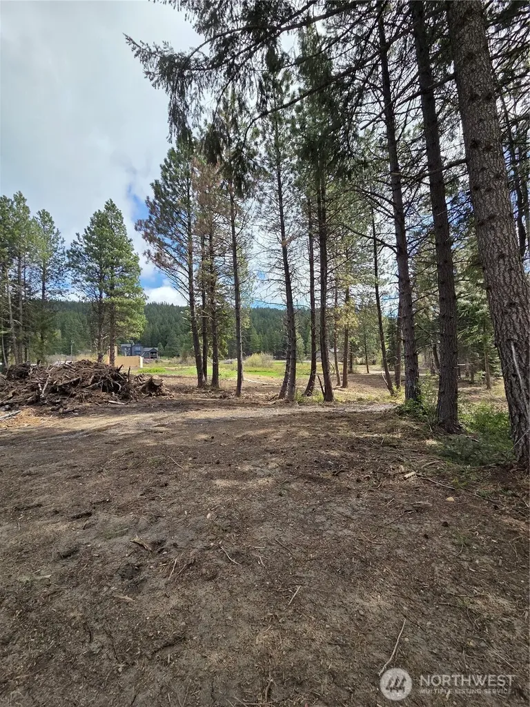 3 Double O Road Ronald WA 98940