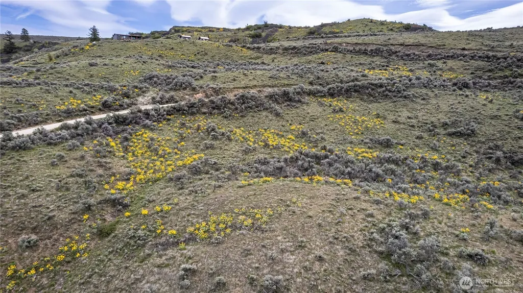 0 Chelan Hills Acres Tract Orondo WA 98843