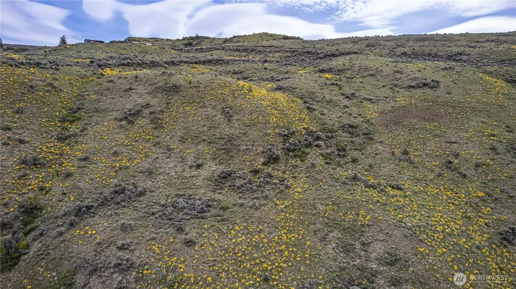 0 Chelan Hills Acres Tract Orondo WA 98843