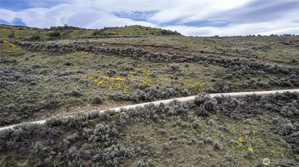 0 Chelan Hills Acres Tract Orondo WA 98843