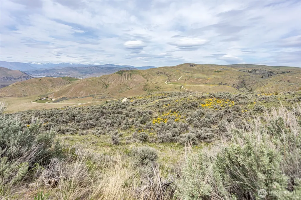 0 Chelan Hills Acres Tract Orondo WA 98843