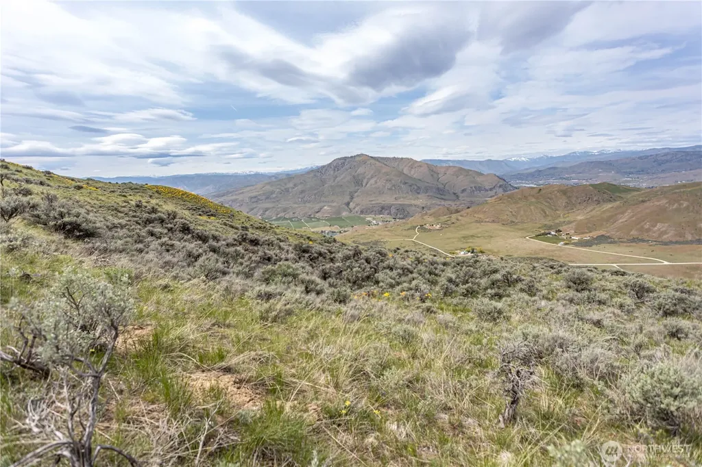 0 Chelan Hills Acres Tract Orondo WA 98843