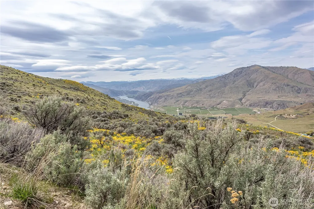 0 Chelan Hills Acres Tract Orondo WA 98843