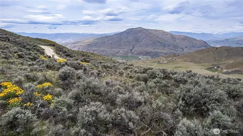 0 Chelan Hills Acres Tract Orondo WA 98843
