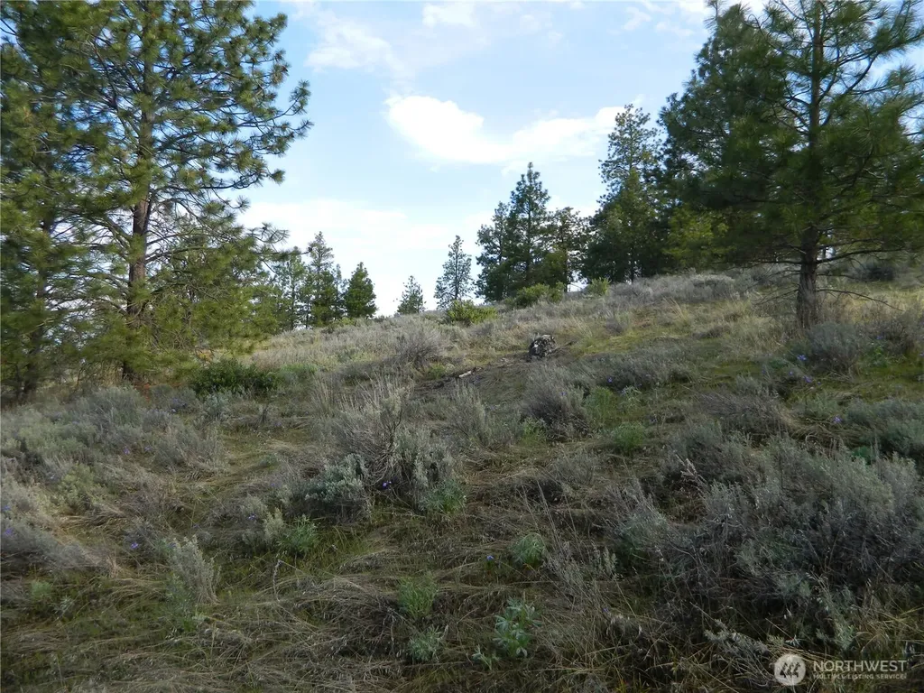 0 Tbd Rehmke Road Tonasket WA 98855