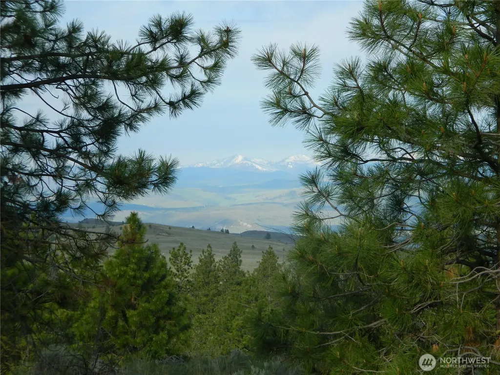0 Tbd Rehmke Road Tonasket WA 98855