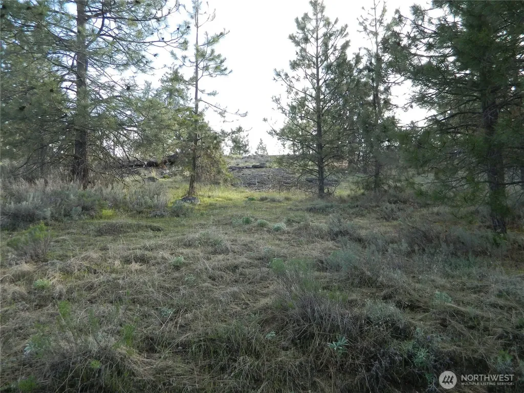 0 Tbd Rehmke Road Tonasket WA 98855