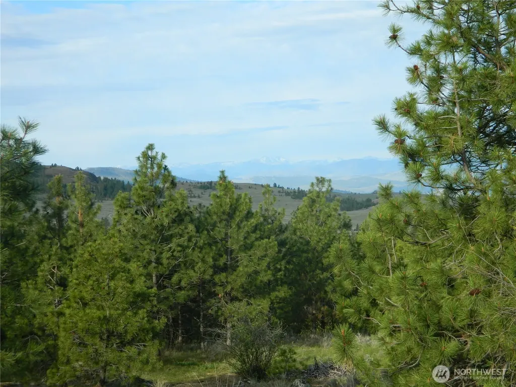 0 Tbd Rehmke Road Tonasket WA 98855