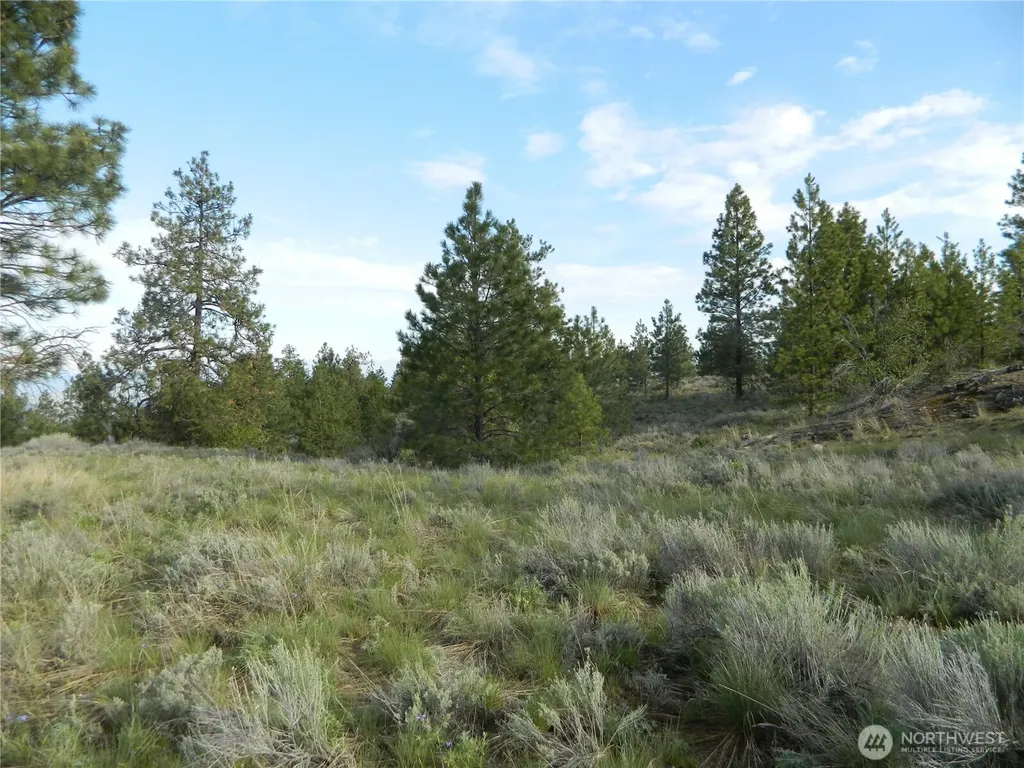 0 Tbd Rehmke Road Tonasket WA 98855