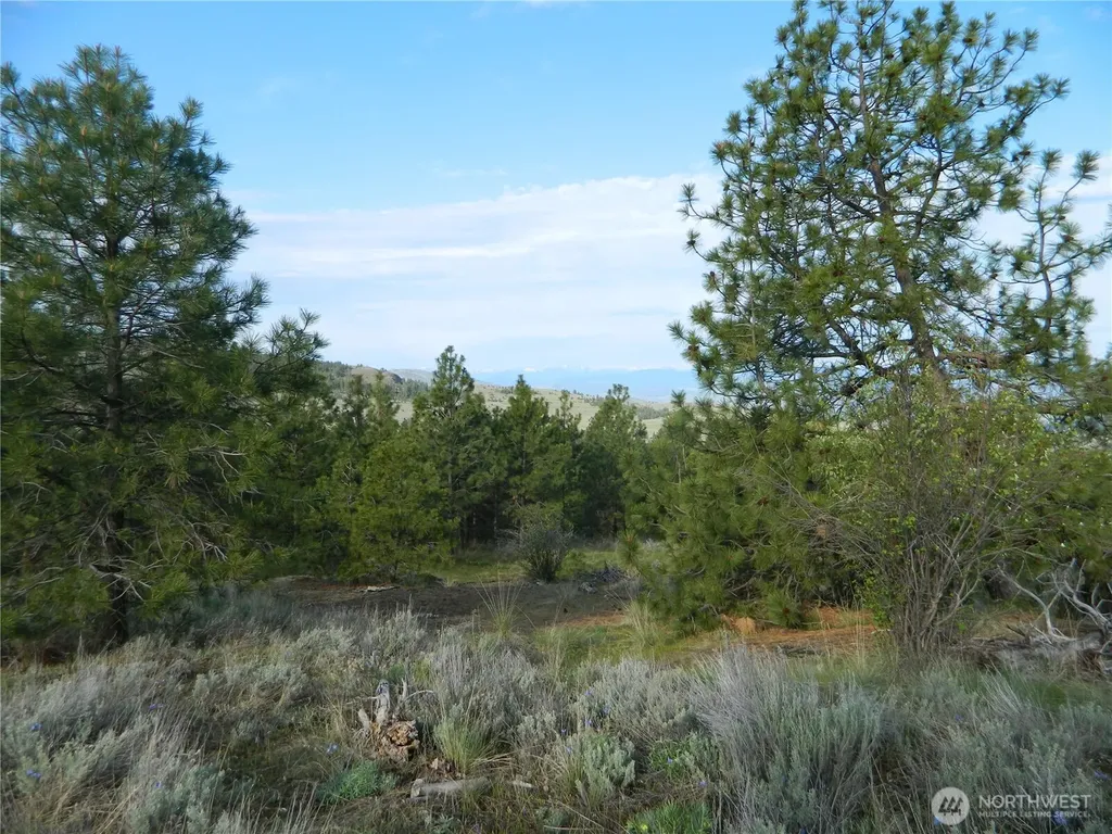 0 Tbd Rehmke Road Tonasket WA 98855