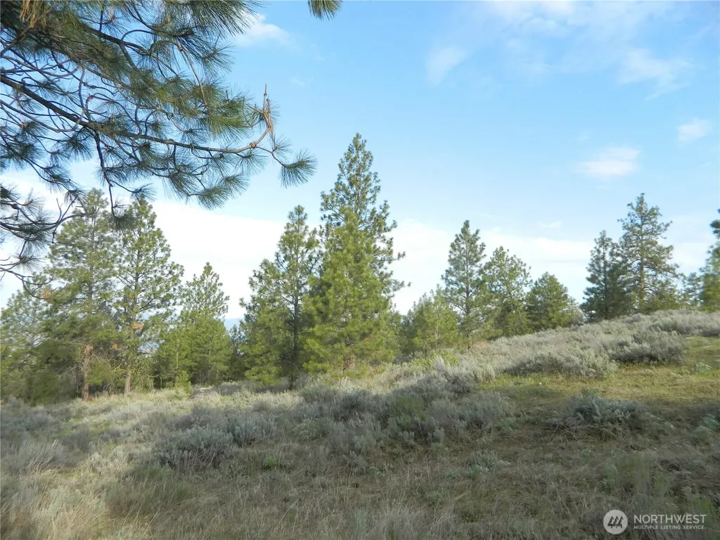 0 Tbd Rehmke Road Tonasket WA 98855