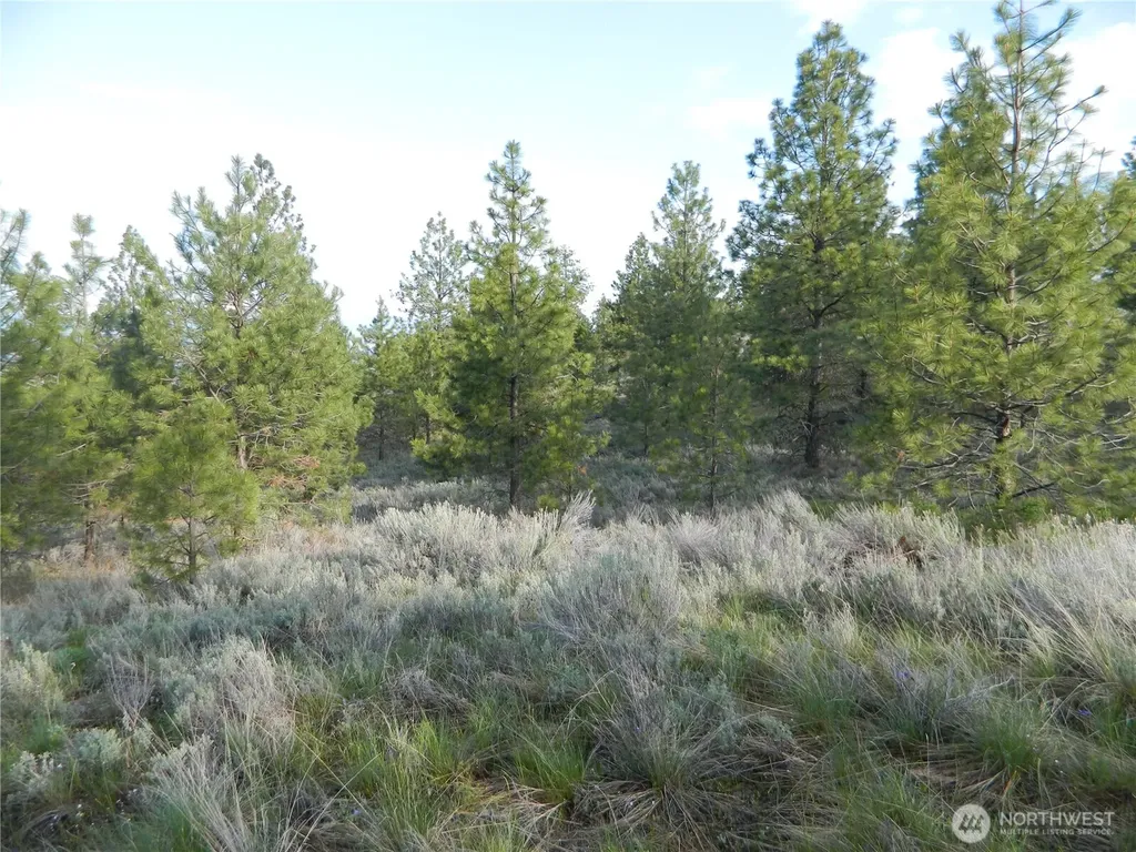 0 Tbd Rehmke Road Tonasket WA 98855