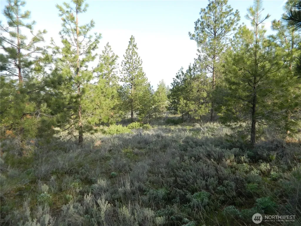 0 Tbd Rehmke Road Tonasket WA 98855