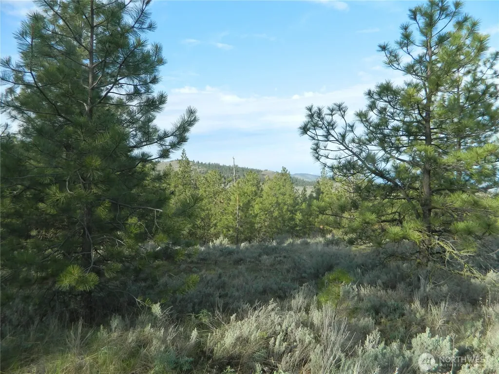 0 Tbd Rehmke Road Tonasket WA 98855
