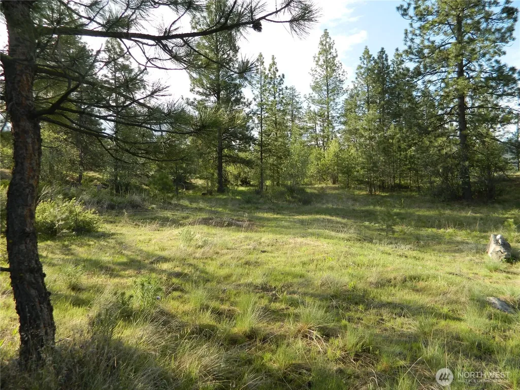 0 Tbd Rehmke Road Tonasket WA 98855