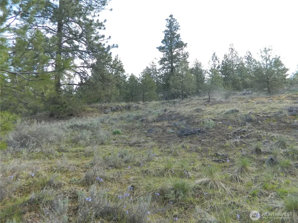 0 Tbd Rehmke Road Tonasket WA 98855