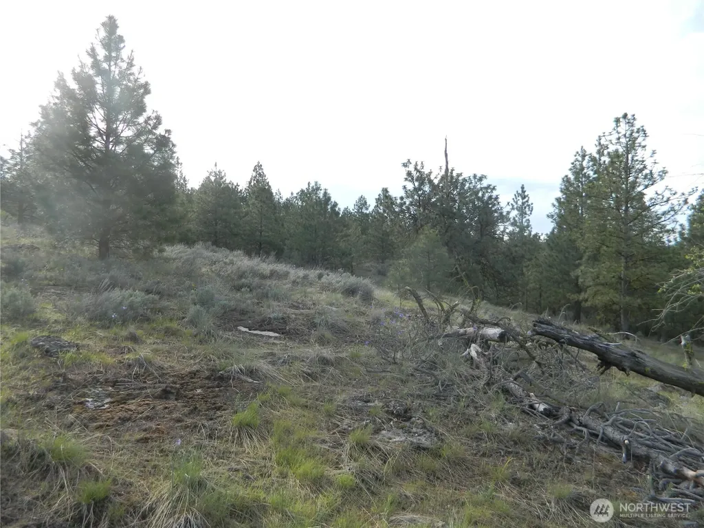 0 Tbd Rehmke Road Tonasket WA 98855