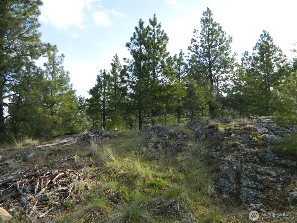 0 Tbd Rehmke Road Tonasket WA 98855