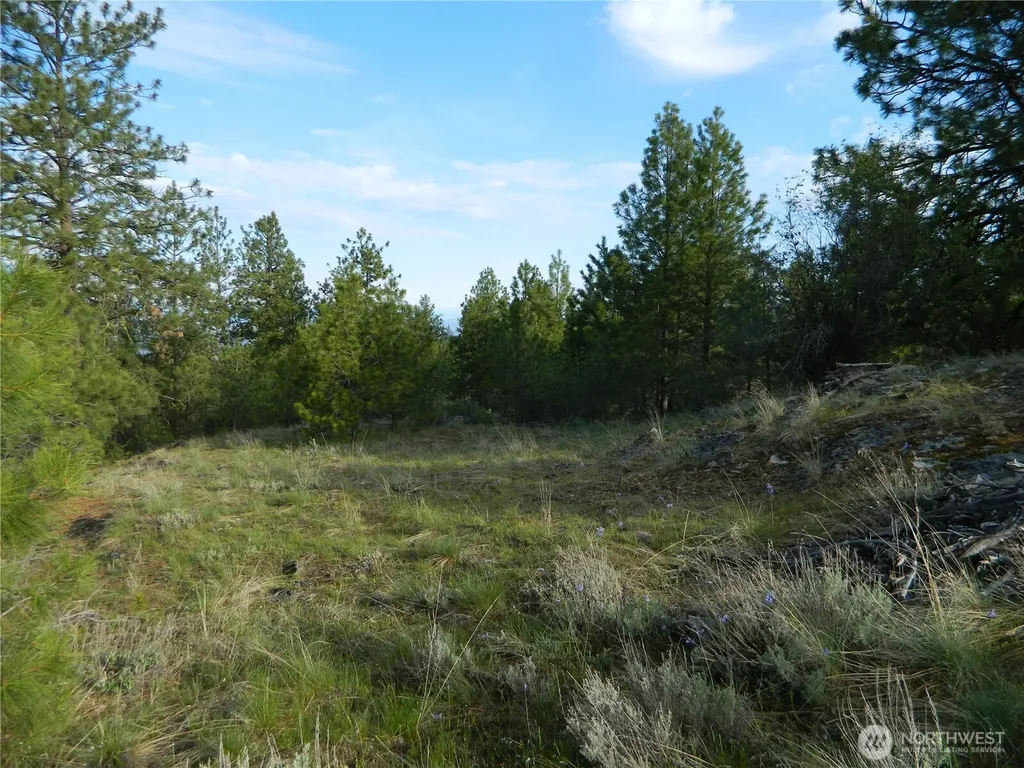0 Tbd Rehmke Road Tonasket WA 98855