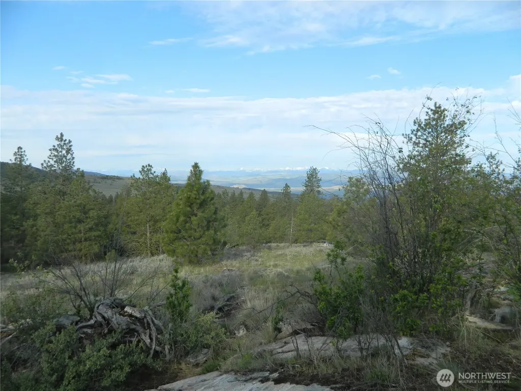 0 Tbd Rehmke Road Tonasket WA 98855