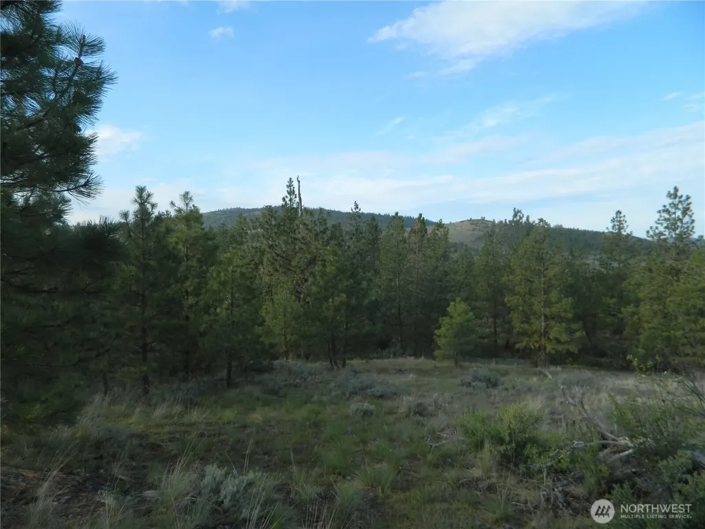 0 Tbd Rehmke Road Tonasket WA 98855