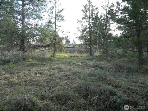 0 Tbd Rehmke Road Tonasket WA 98855