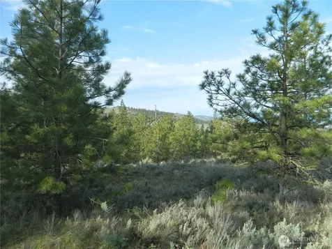 0 Tbd Rehmke Road Tonasket WA 98855