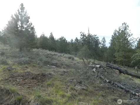 0 Tbd Rehmke Road Tonasket WA 98855