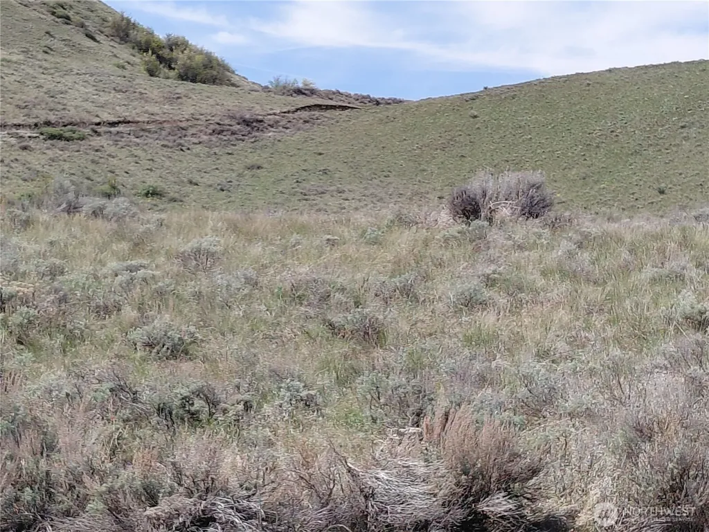 272 Mountain Spring Road Orondo WA 98843