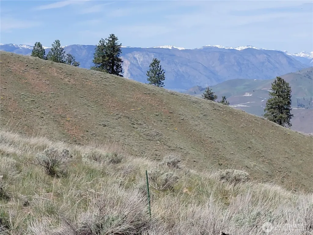272 Mountain Spring Road Orondo WA 98843