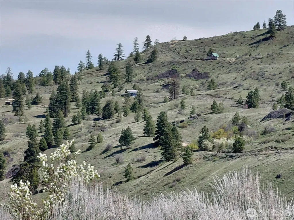 272 Mountain Spring Road Orondo WA 98843