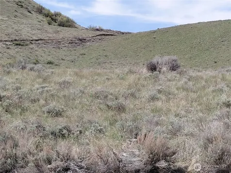 272 Mountain Spring Road Orondo WA 98843