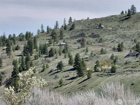 272 Mountain Spring Road Orondo WA 98843
