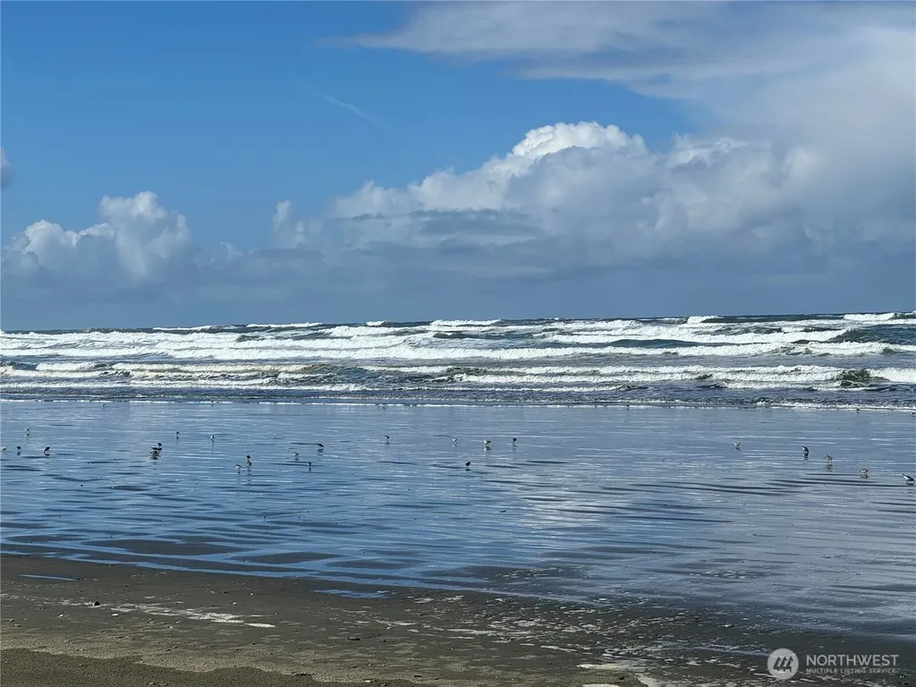 791 Falls Of Clyde Loop SE Ocean Shores WA 98569
