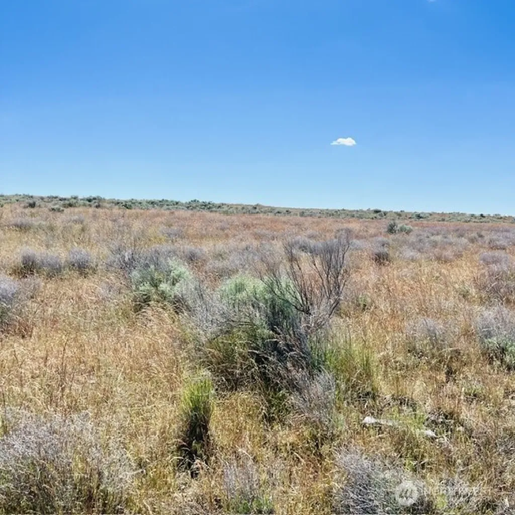 5355 NE Mcconihe Road Moses Lake WA 98837
