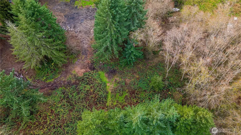 3502 40th Ave SE Olympia WA 98501