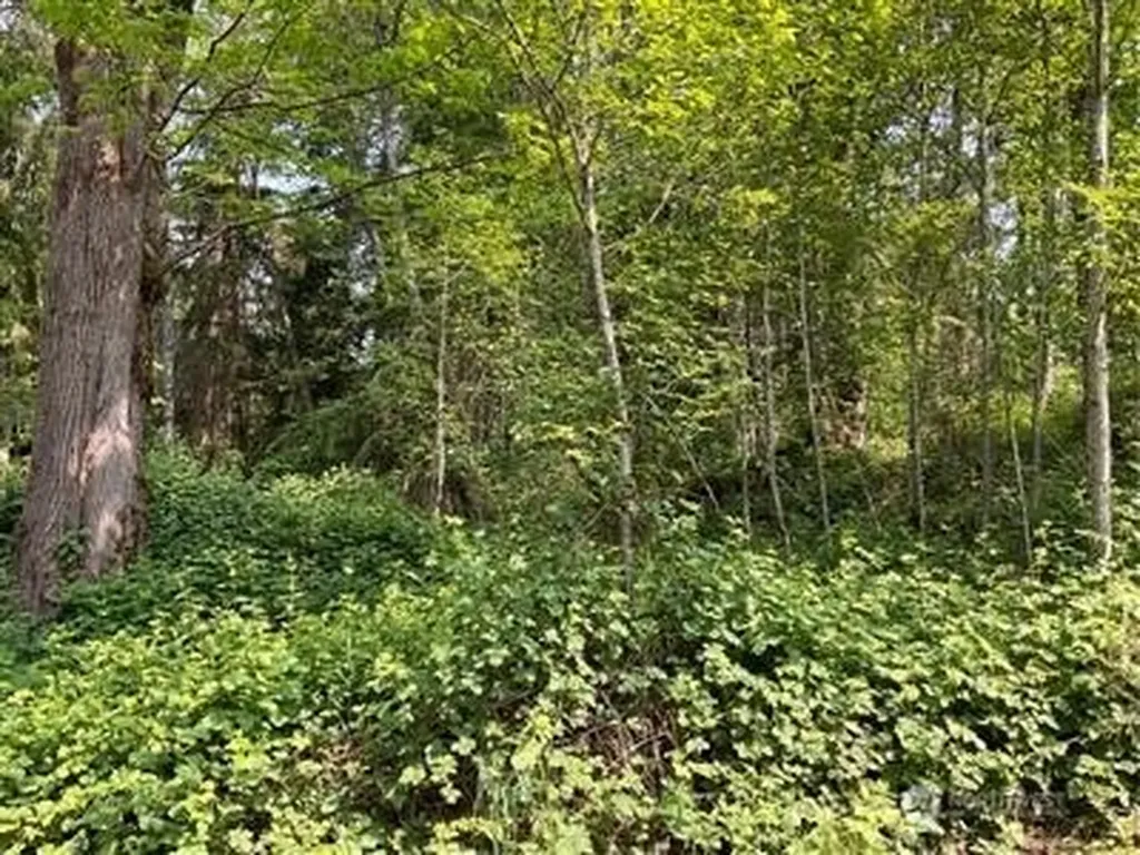 259 272nd Avenue SE Ravensdale WA 98051