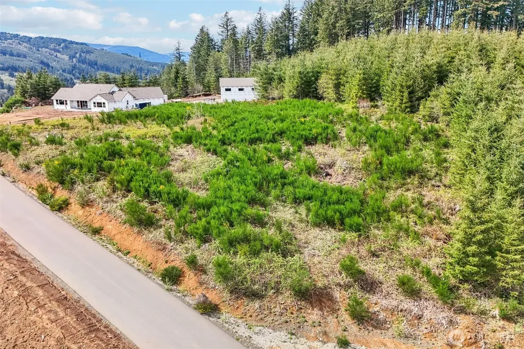 181 High Bank Lane Woodland WA 98674
